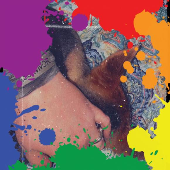 Meet your Posher, Reagan - Picture 1 of 1